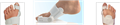 skena komplett.png